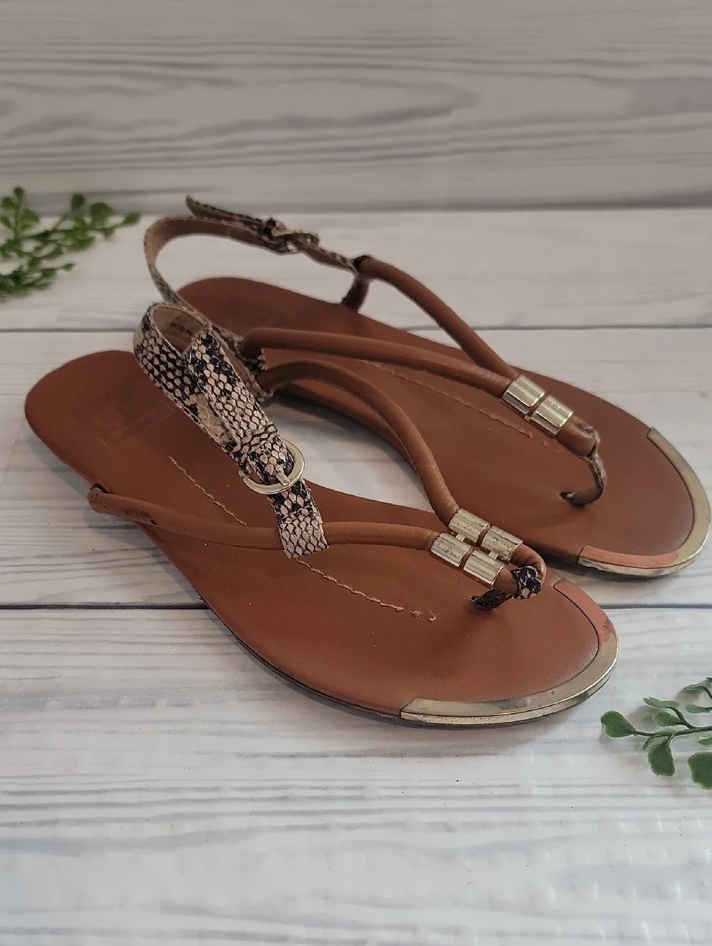 Dolce Vita Brown Snake-Print T-Strap Sandals  Womens Size 7.5
